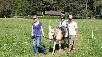 A person leading a donkey in a grassy field with a fence in the background.
