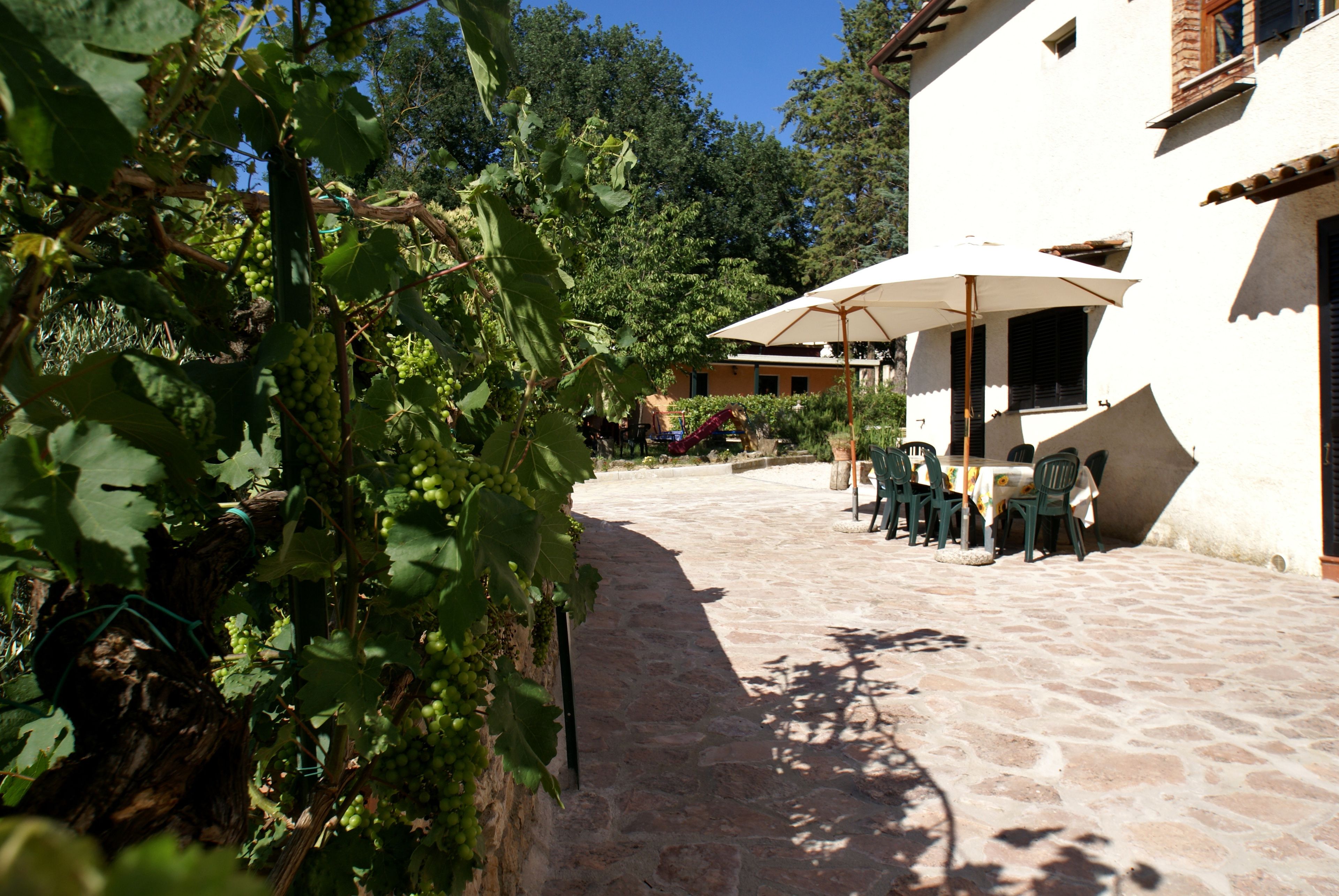 Classic Quadruple Room, 1 Bedroom, Refrigerator, Ground Floor | Terrace/patio