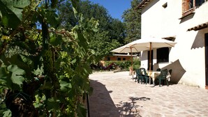 A stone-paved courtyard with outdoor seating, a building with a white facade, and a vineyard in the foreground. - Il Querceto - B&B e Appartamenti Vacanze (Perugia)