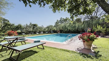 Outdoor pool, open 9:00 AM to 7:00 PM, pool loungers