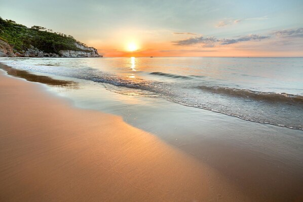 Private beach nearby, sun loungers, beach umbrellas, beach bar - Hotel Orchidea (Peschici)