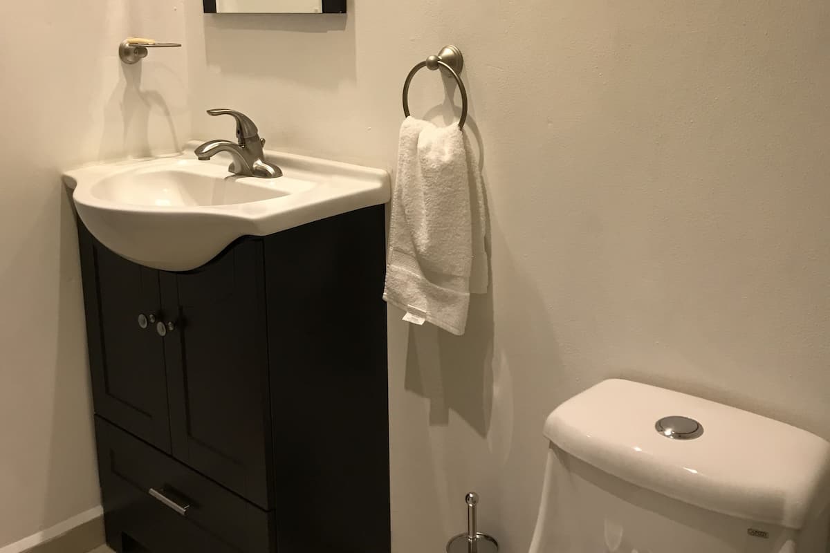 Duş, ücretsiz banyo/kozmetik ürünleri, saç kurutma makinesi, havlu