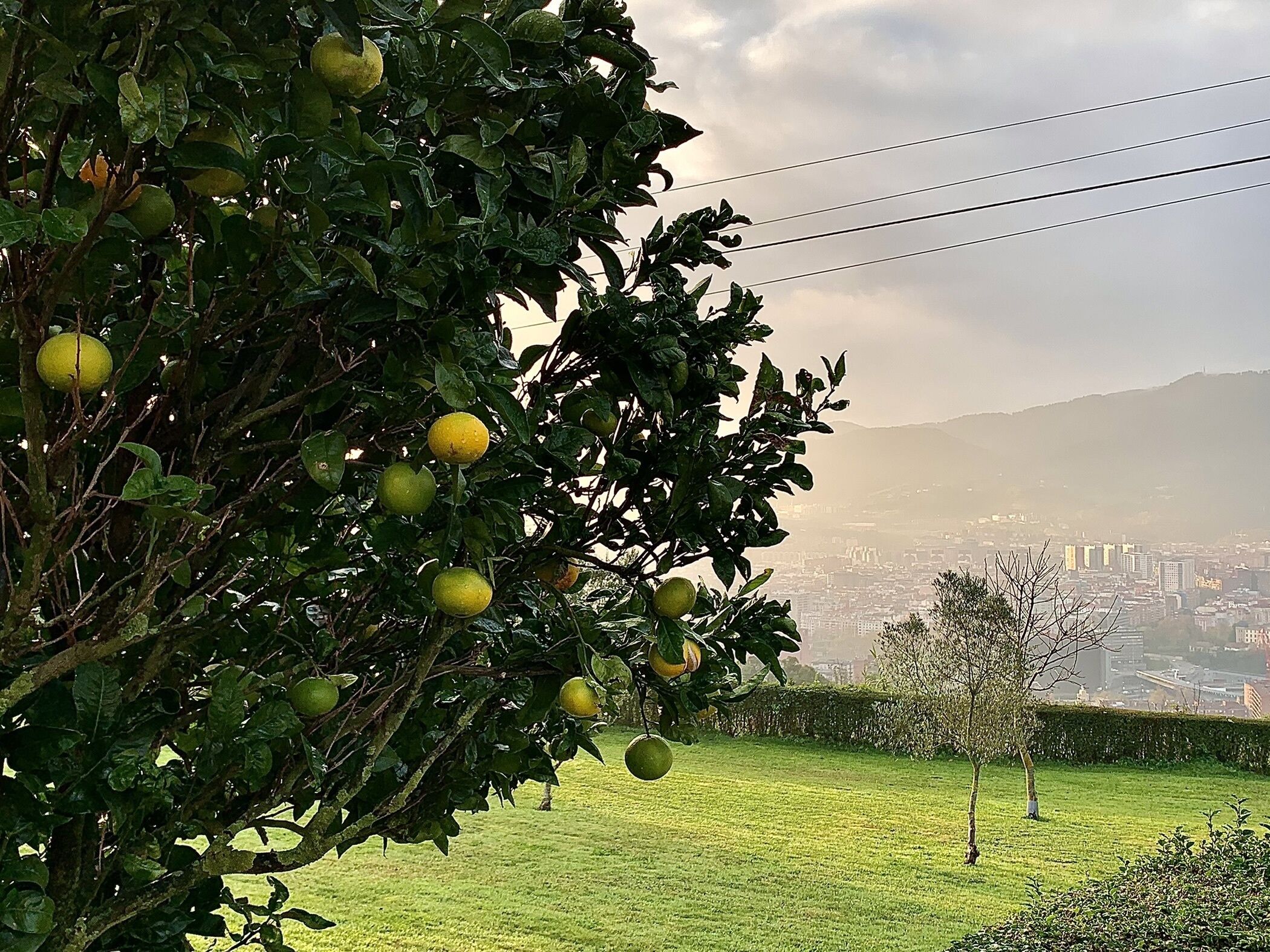 Photo - Hotel Artetxe