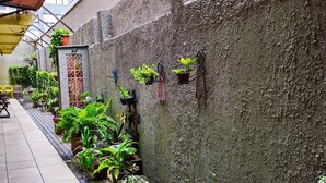 Un pasillo estrecho con suelo de baldosas, bordeado por una pared con textura y plantas en macetas.