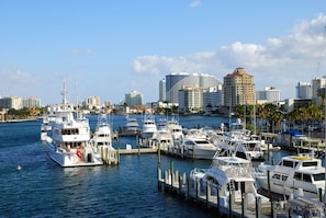 Vue depuis l’hébergement