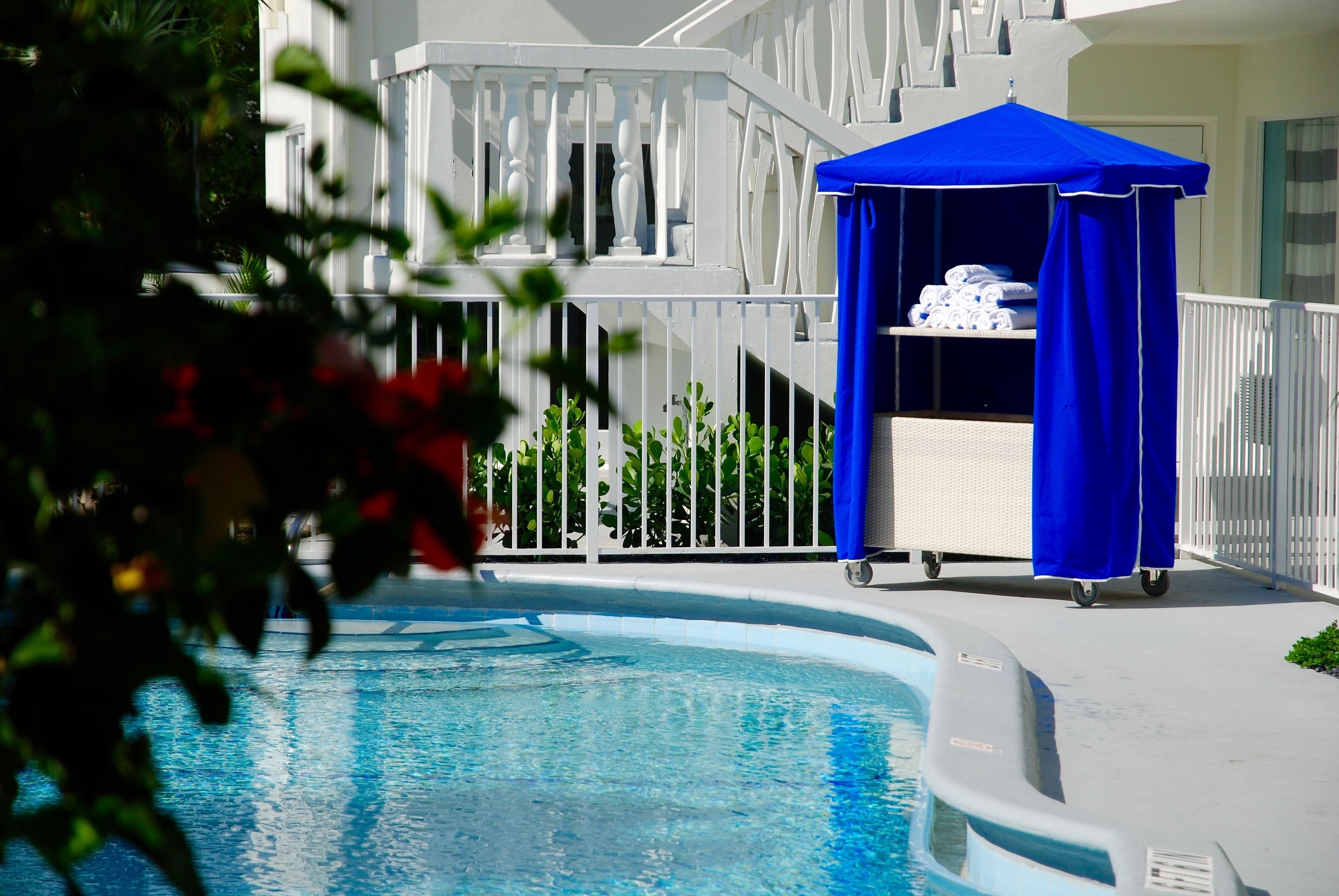 outdoor pool, open 8:00 am to 8:00 pm, pool loungers