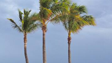 Vistas desde el alojamiento