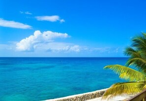 On the beach - Le Mer Guest House & Villa - Lucea (Lucea)