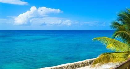 Le Mer Guest House & Villa - Lucea