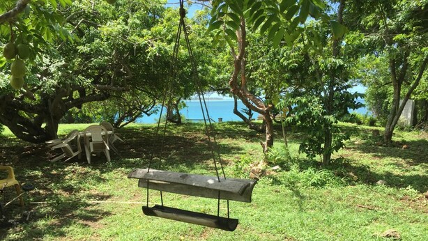 A wooden swing hanging from a tree in a grassy area with a view of a body of water in the background. - Angel Fish Cove (Buccoo)