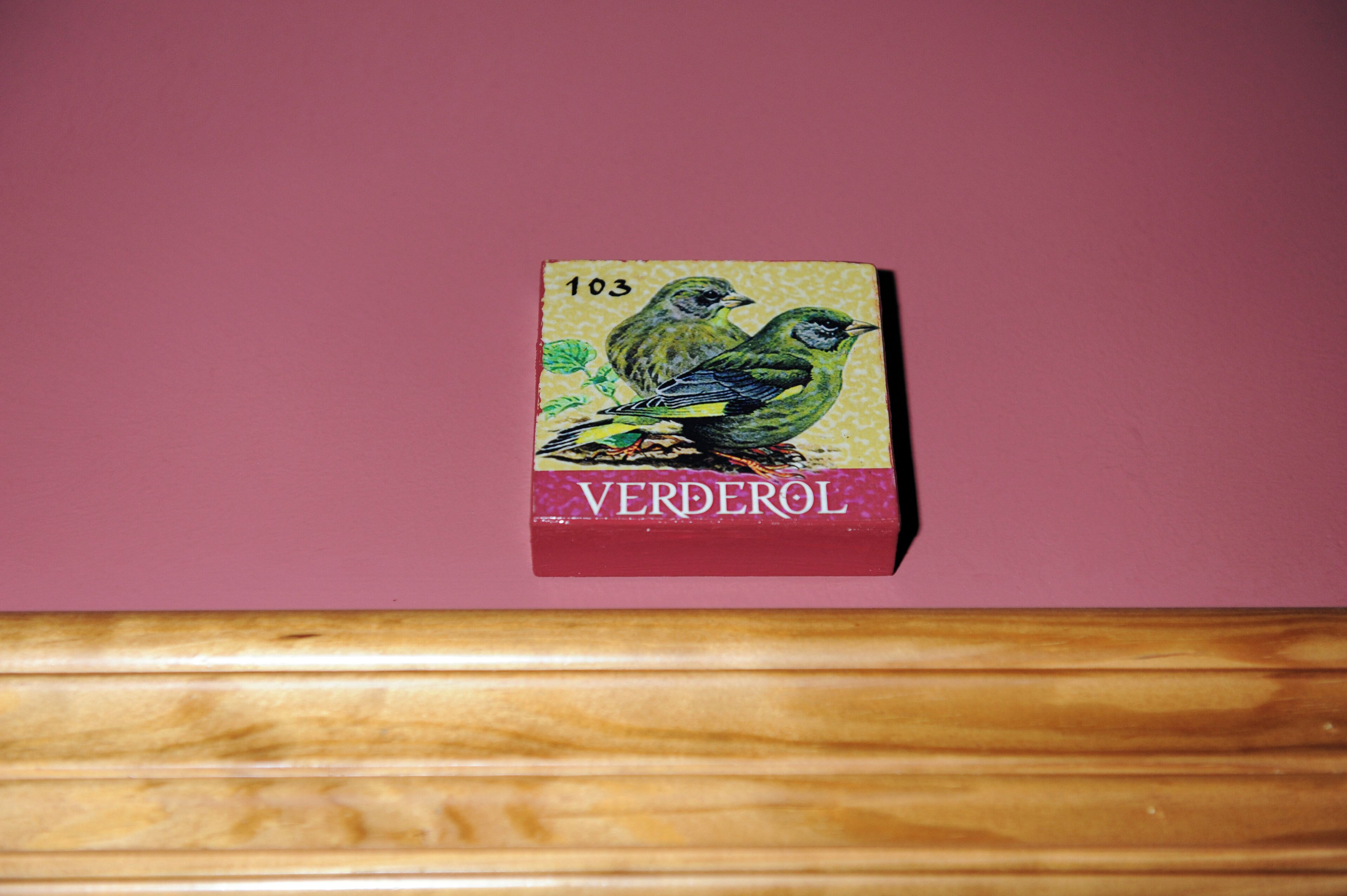 Un livre intitulé « VERDEROL », portant le numéro 103 sur sa couverture, est posé sur une surface en bois, sur un fond rose.