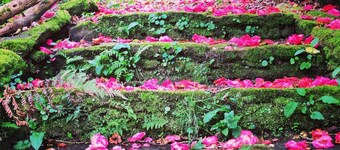 Casa Grande de Fuentemayor