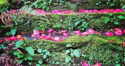 Casa Grande de Fuentemayor