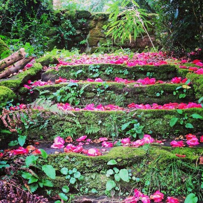 Casa Grande de Fuentemayor