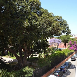 Una calle bordeada de árboles, con coches estacionados y un edificio al fondo.