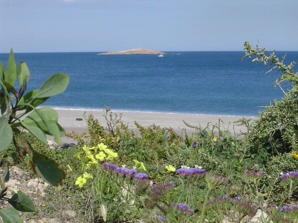 Beach - San Antonio (Carboneras)
