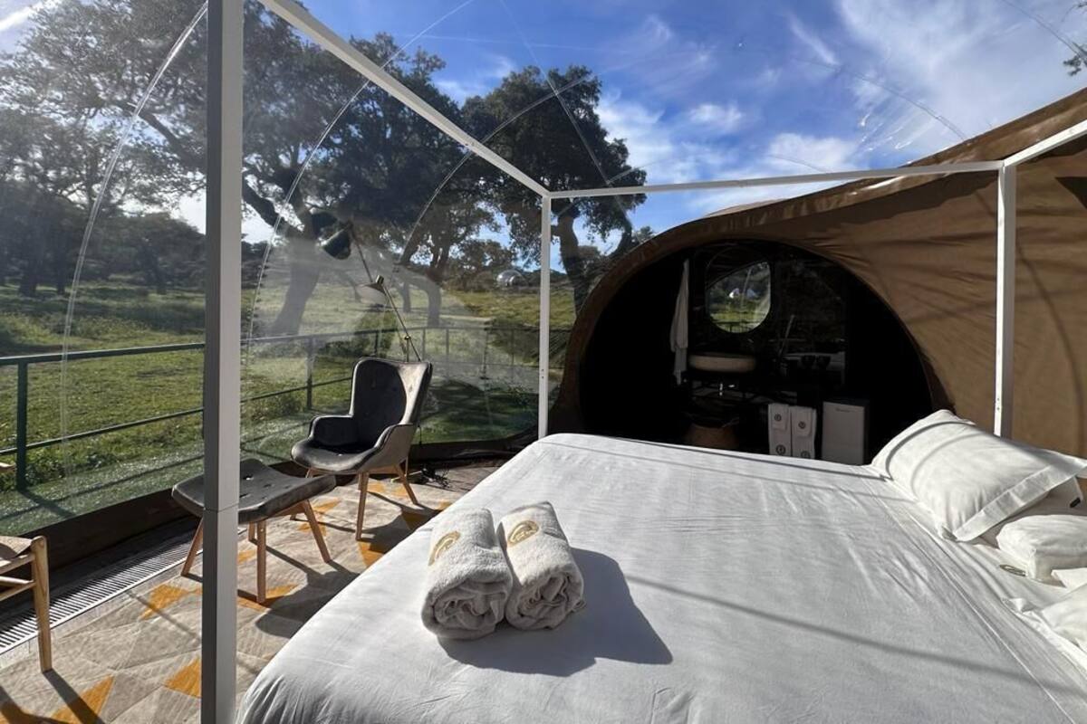 A tented accommodation with a bed, a chair, and a table.