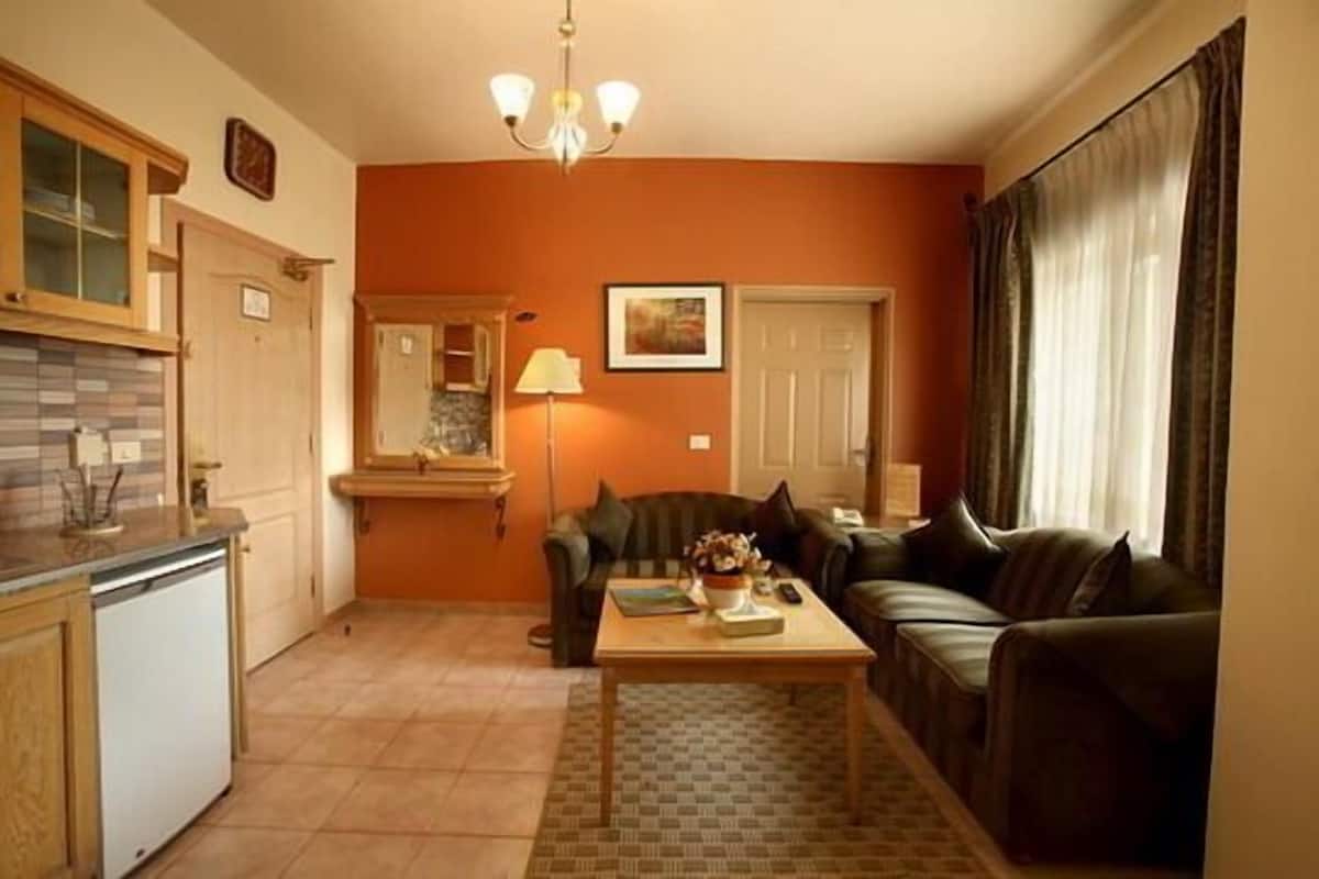 A compact living space with a kitchenette, a dining area with a table and chairs, a sofa, and a lamp.