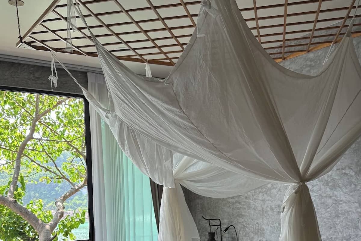 A bed with a canopy, a view of a tree, and a window.