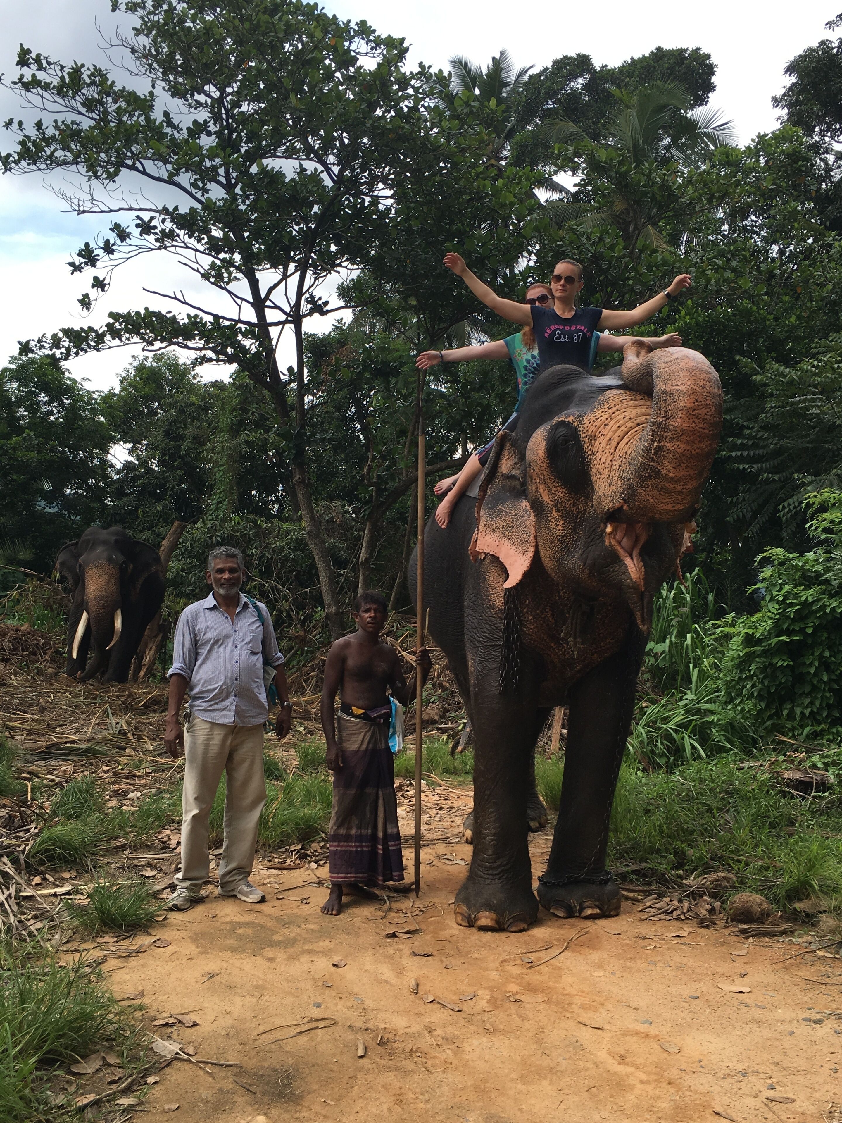 Foto - Hotel Mango Garden