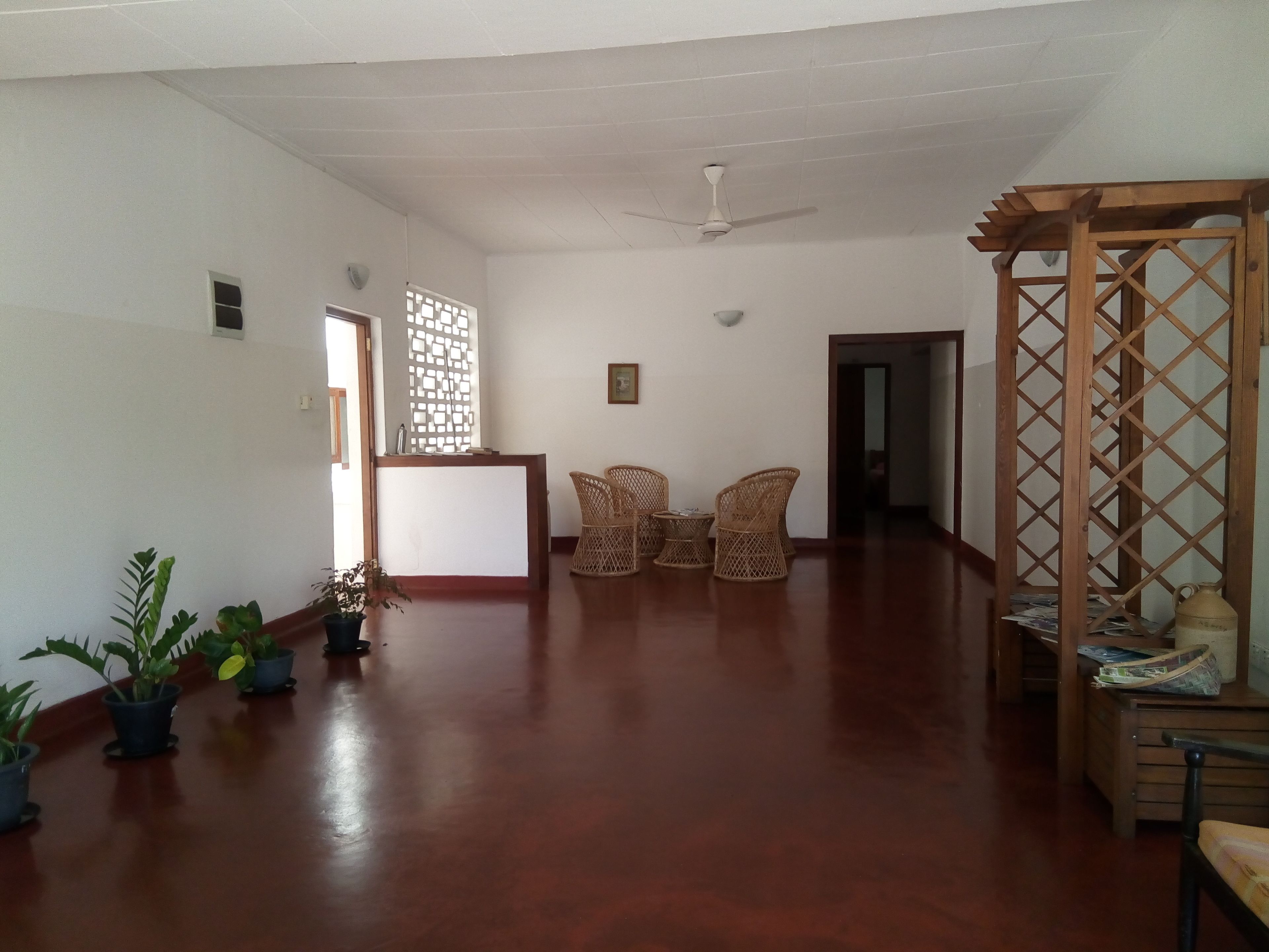 Foto - Hotel Mango Garden