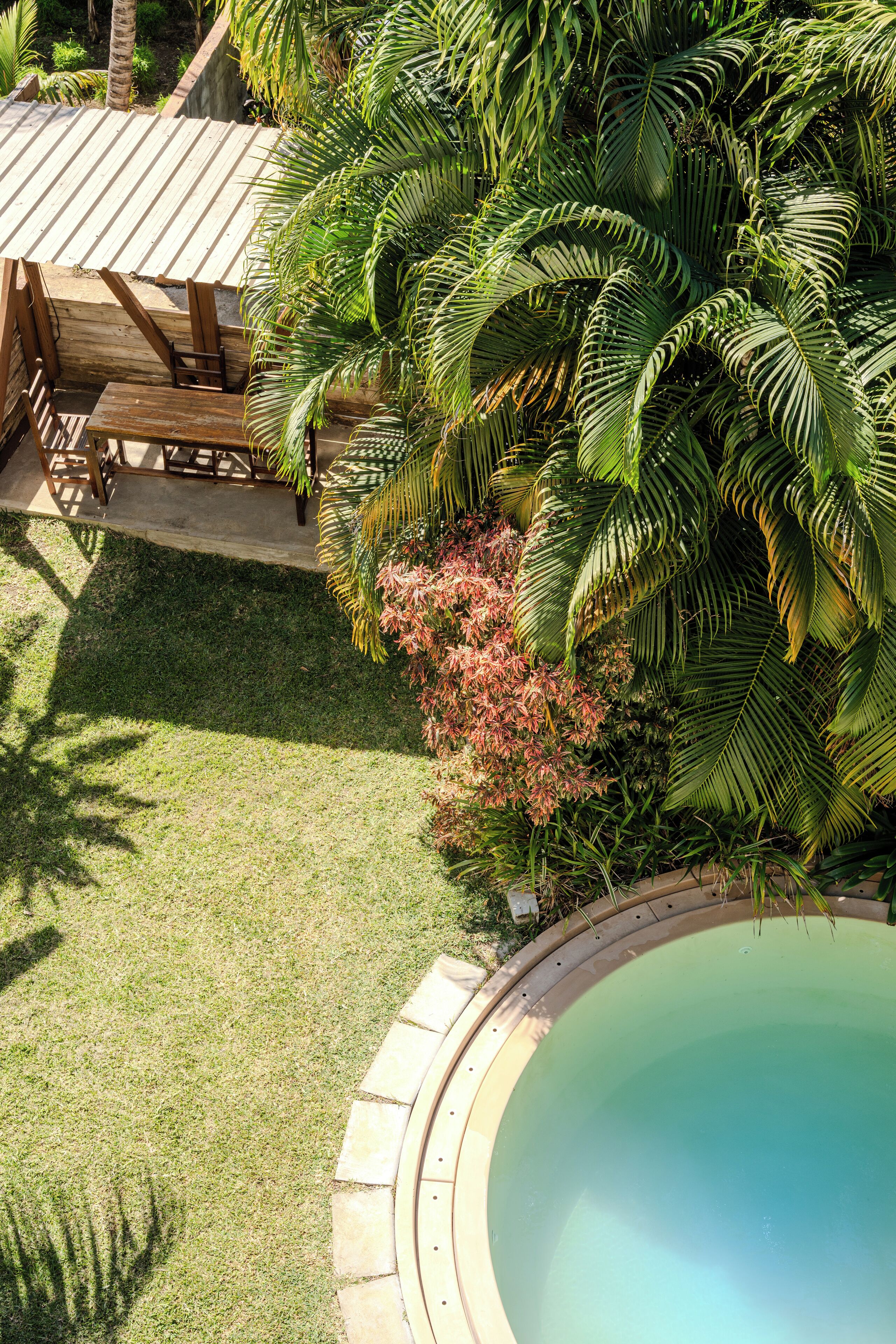 A pool surrounded by lush greenery and a wooden deck with chairs.