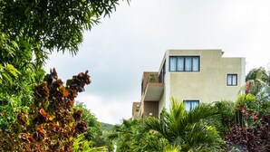 A pathway leading to a modern building with a wooden bridge, surrounded by lush greenery and a variety of plants.