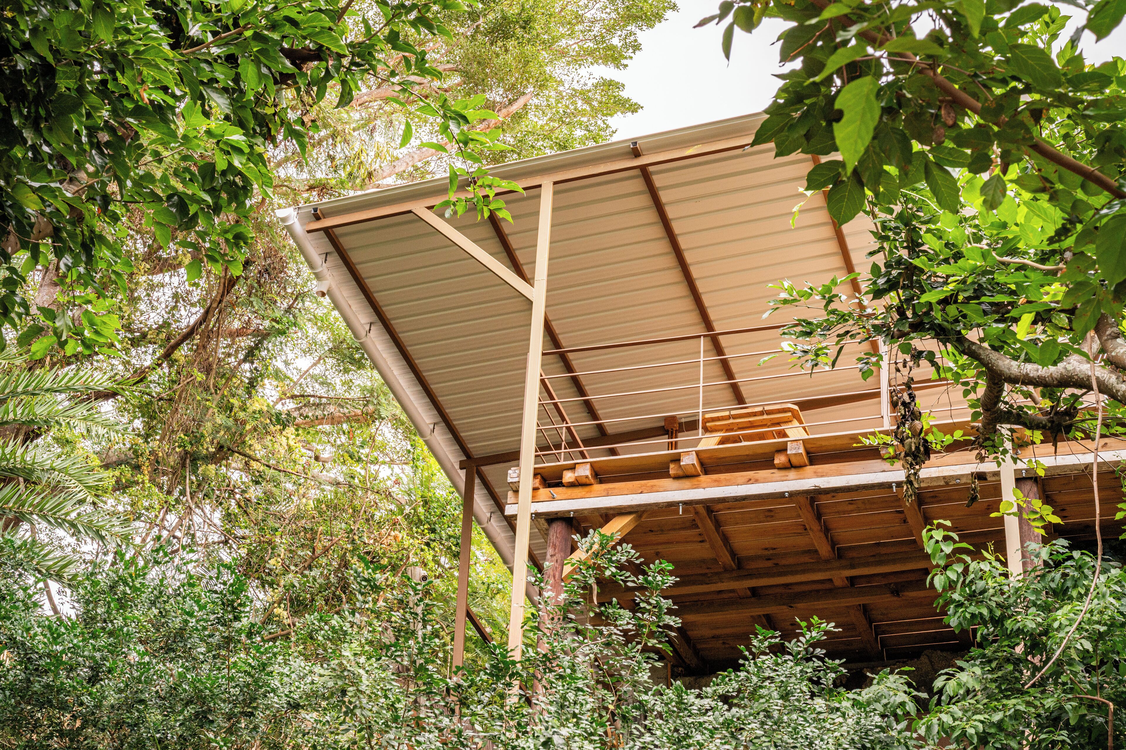 A wooden structure with a sloped roof, surrounded by dense foliage.