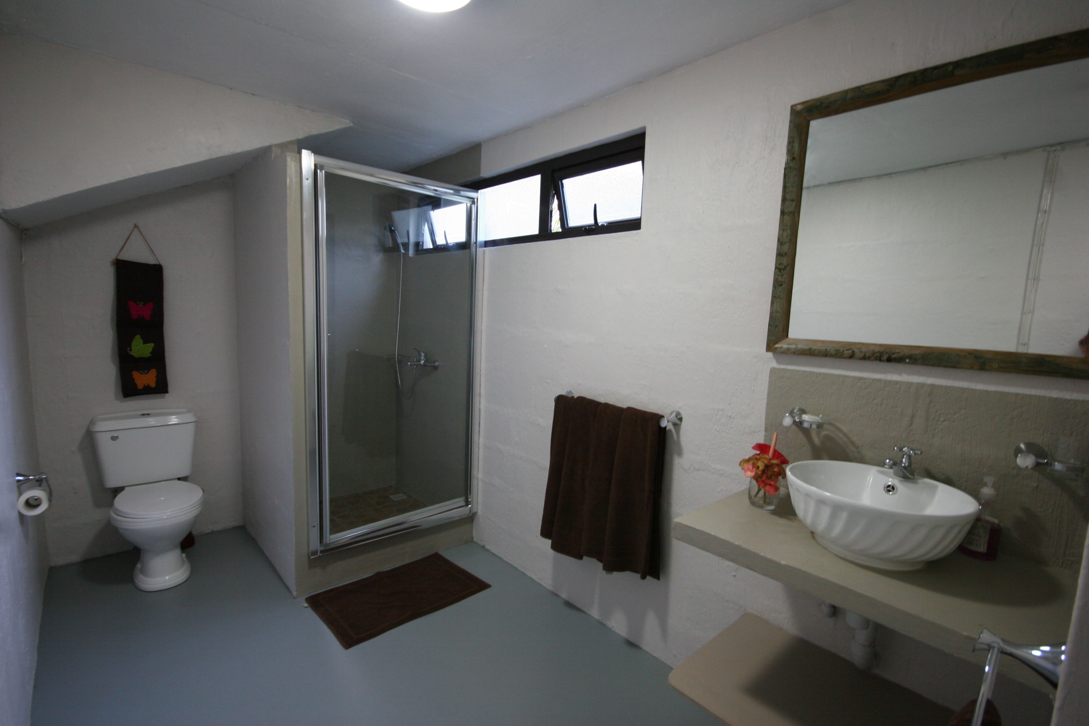 Un baño con inodoro, ducha, lavabo y espejo.