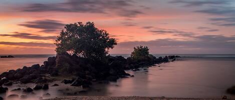 A beach with a rocky shoreline and trees.