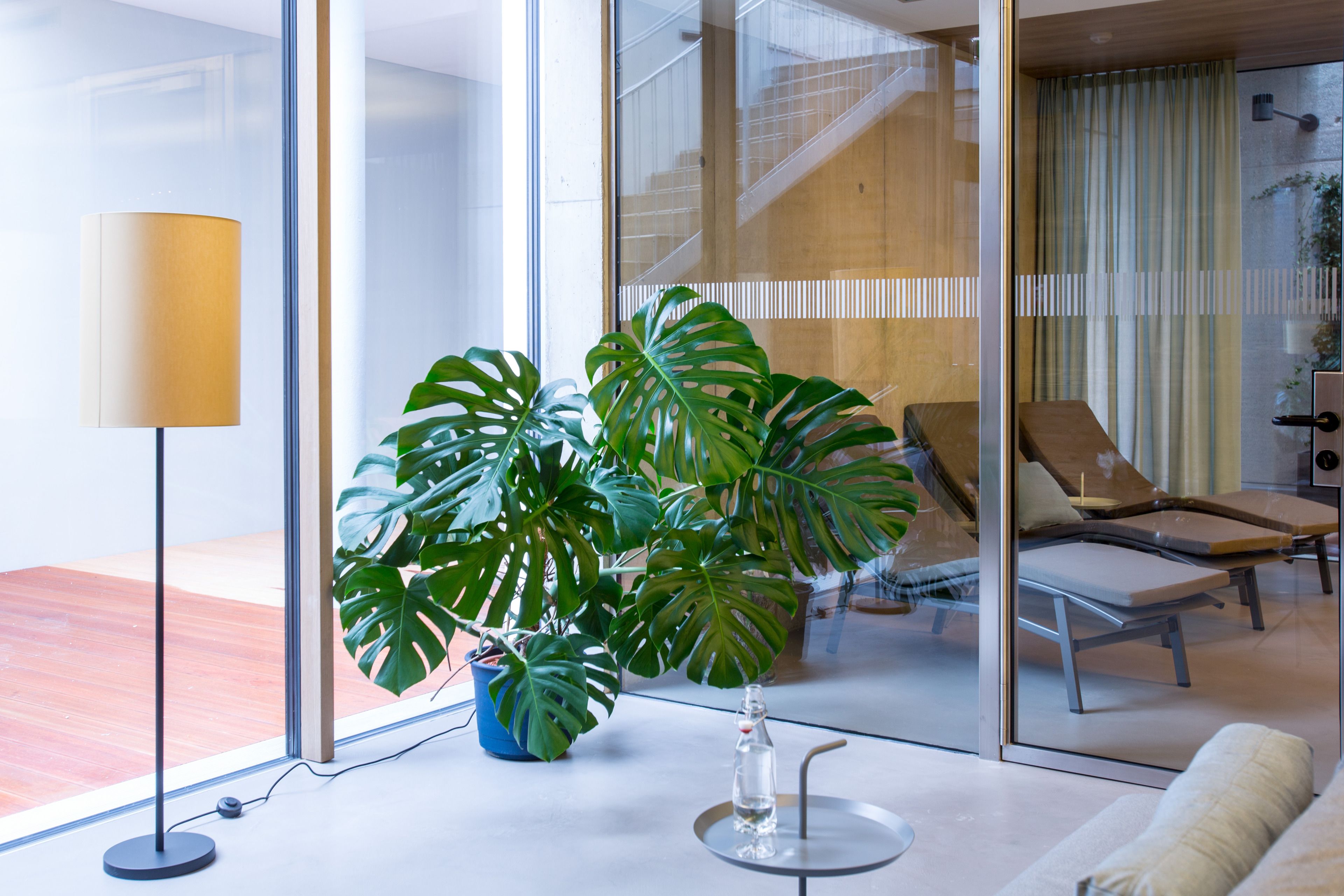 Sauna, steam room, body treatments, body wraps, body scrubs, facials