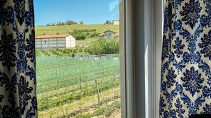 1 bedroom, premium bedding, down duvets, memory-foam beds - La Rosa Gialla (Barolo)