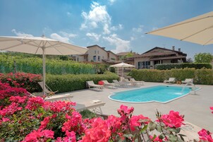 Outdoor pool, sun loungers