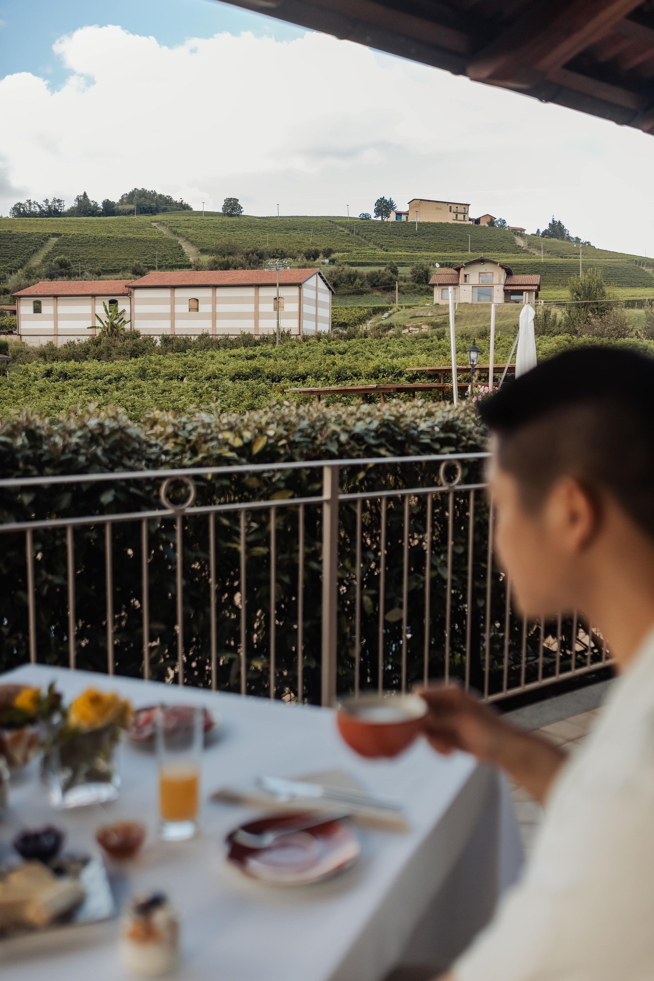 Ein Esstisch mit Blick auf einen Weinberg und Gebäude im Hintergrund.