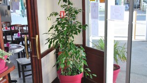 A hotel entrance with a potted plant, a wooden door, and a tiled floor. - La Rotonde (Saint-Malo)