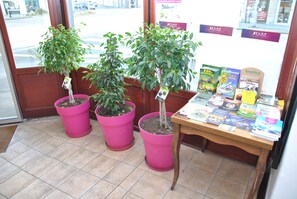 Un petit espace intérieur agrémenté de trois plantes en pot et d’une table où sont exposés divers livres et brochures.