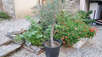 Tuin