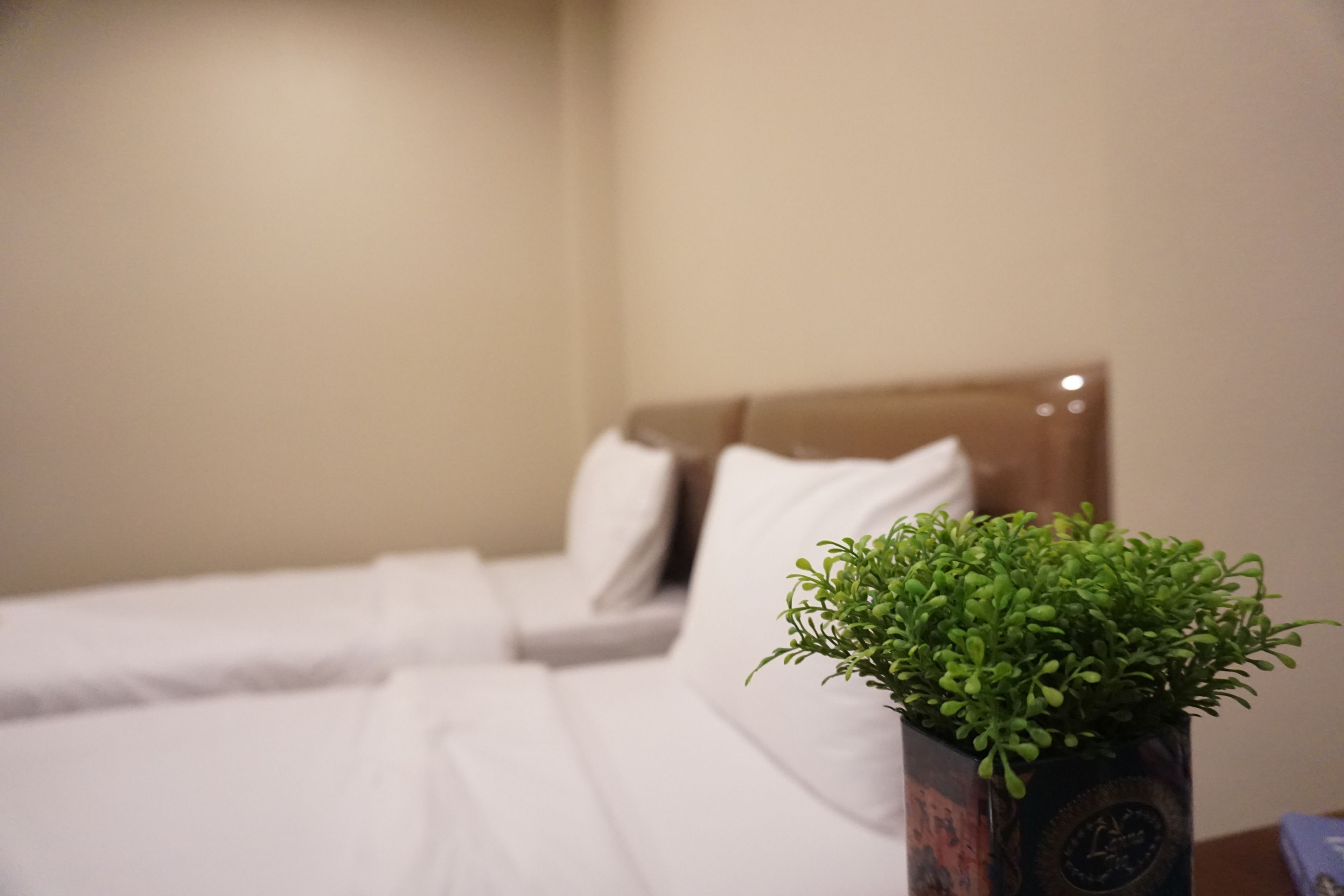 Una cama bien tendida con sábanas blancas y una pequeña planta en maceta sobre una mesita de noche.