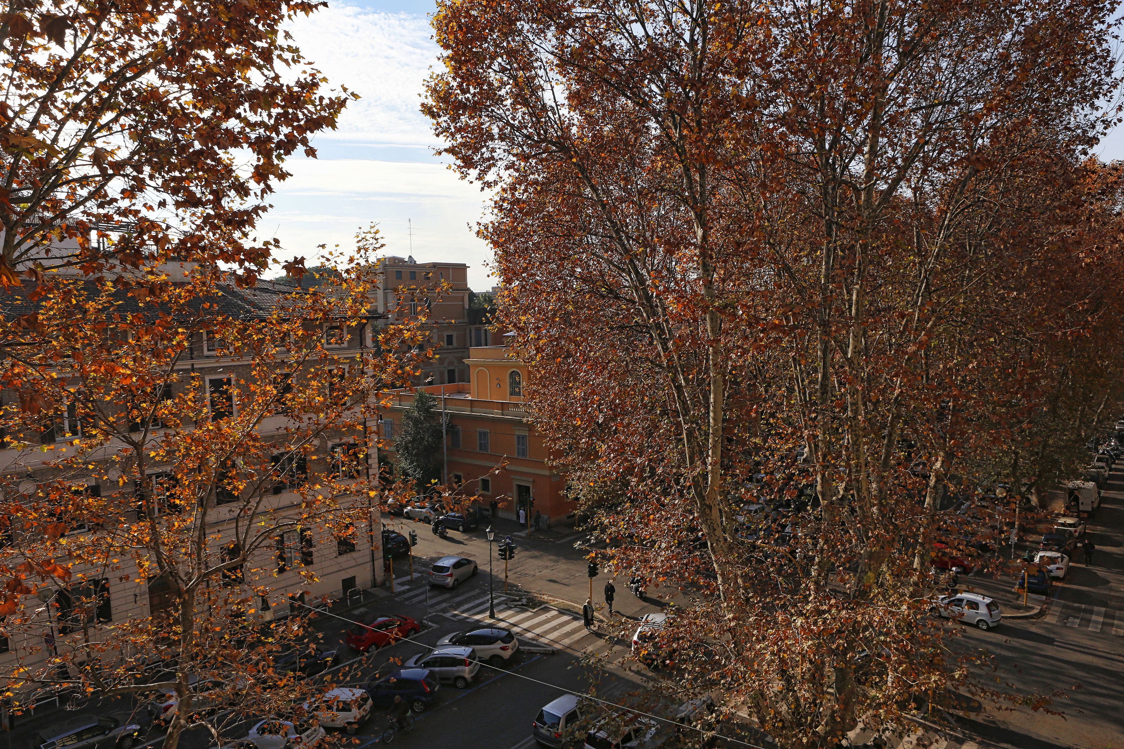 Foto - Casa Sotgiu Guest House