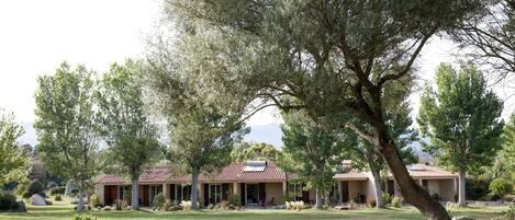 A property with a main building and a smaller annex, surrounded by a well-maintained lawn and large trees.