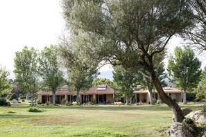 Vista al jardín
