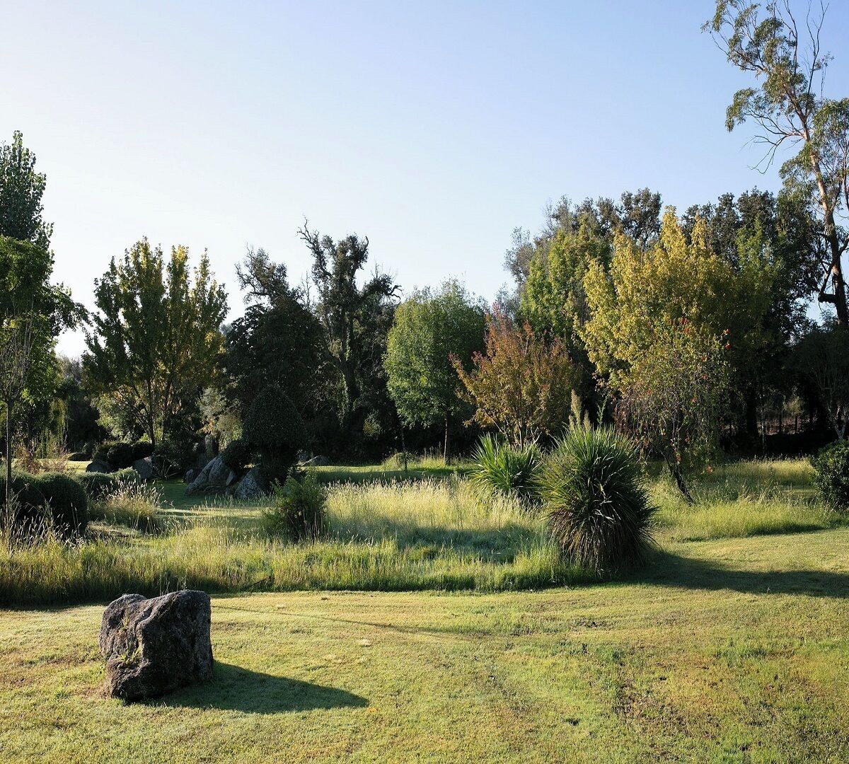Un paisaje natural con un campo cubierto de hierba, rocas y árboles.