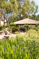 Un jardín con un pabellón, plantas verdes y árboles.