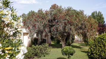 Jardín