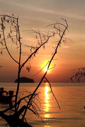 Ein Sonnenuntergang über Wasser, im Vordergrund silhouettierte Äste.
