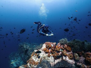 A diver surrounded by a school of fish, with a coral reef in the background. - Adang Sea Divers & Eco Lodge Koh Lipe (Koh Lipe)