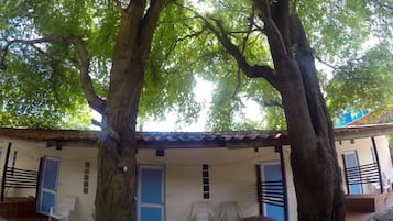 Loftmynd