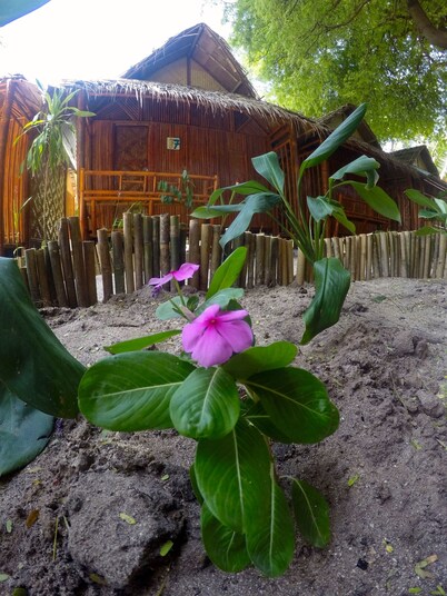 Adang Sea Divers & Eco Lodge Koh Lipe
