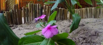 Adang Sea Divers & Eco Lodge Koh Lipe