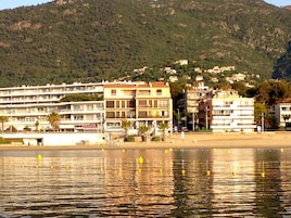 Eksteriør